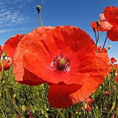 mg娱乐电子游戏网站