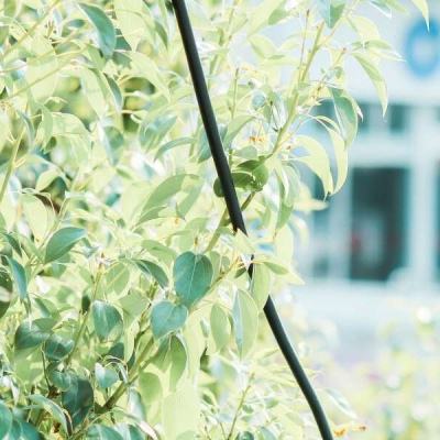 火狐体育APP手机app下载