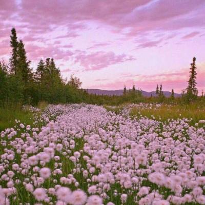 亚博app(中国)官方网站手机app下载